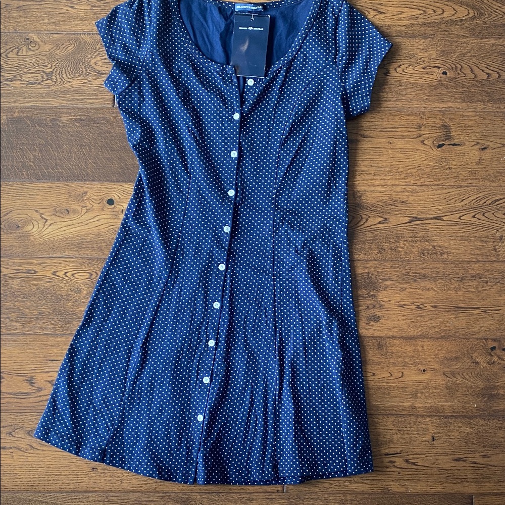 Brandy Melville Navy Polka Dot Dress